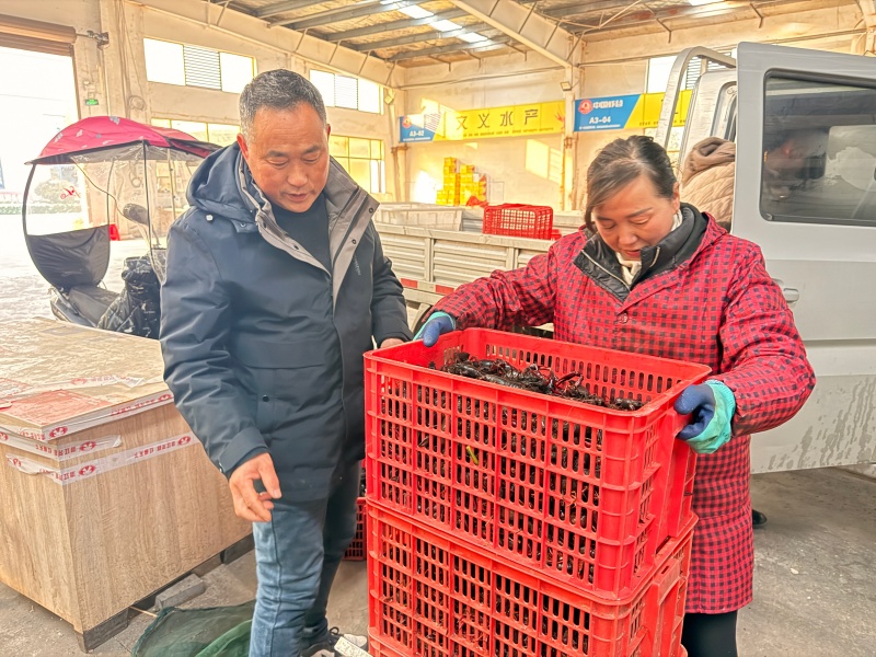 新春走基层“夏日限定”变身春节“网红”(图2)