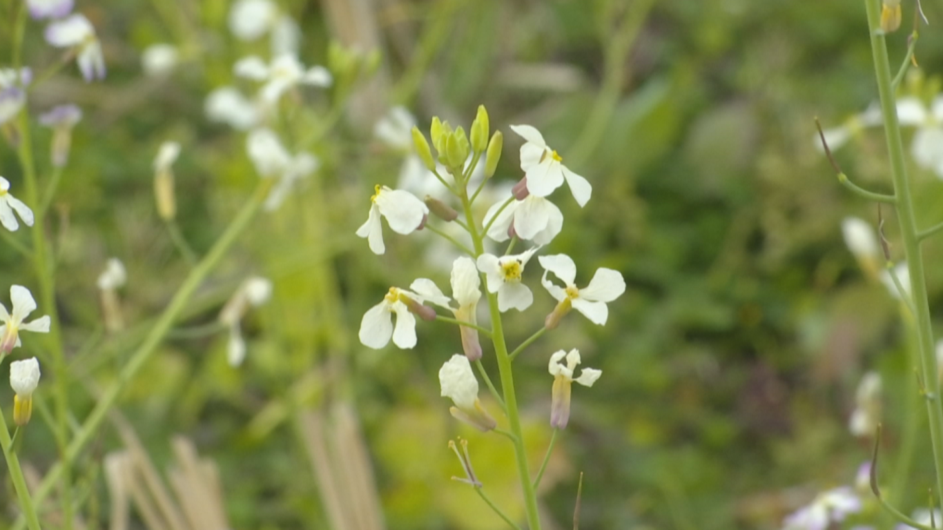 蕉岭县人民政府(图3)
